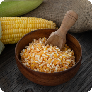 corn product supplier