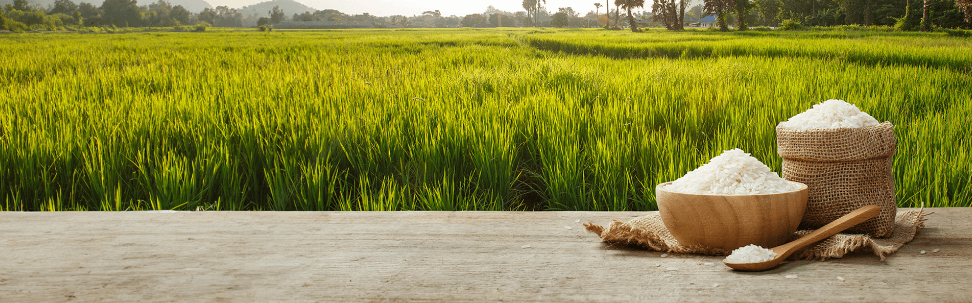 rice milling services in India