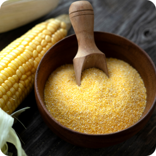 corn grits & corn flour supplier