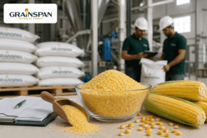 Corn Grits Manufacturer India