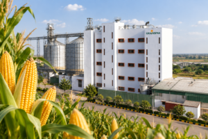 corn milling, rice milling, grain-based ethanol and value-added co-products